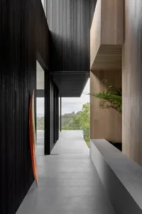 Modern interior design featuring wooden walls and flooring, with plants in a contemporary setting.
