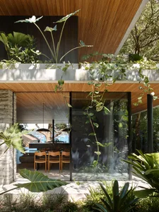 Indoor garden with large plants against a wooden ceiling.