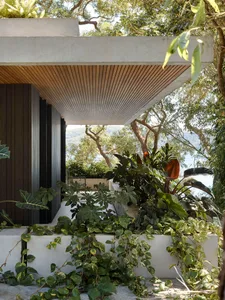 Modern house with concrete exterior and lush greenery.