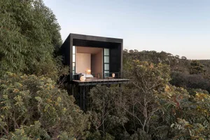 Minimalist, modern treehouse residence with black exterior and white interiors, elevated on stilts over dense forest.