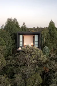 A modern treehouse featuring a large glass window surrounded by trees.