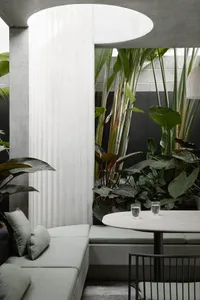 Minimalist living space featuring concrete furniture and plants.