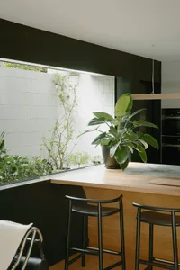 A modern kitchen with wooden countertop, white tile backsplash, and green potted plant.