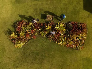 Three gardeners trimming plants in a neatly arranged landscape.