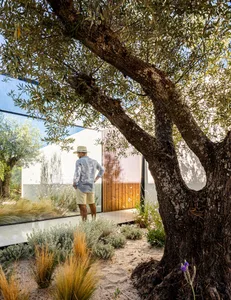 Person standing near a modern minimalist house with trees and a landscaped garden.