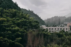 Modern, concrete residential buildings nestled among lush green trees and hills.