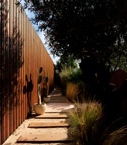 Modern pathway with wooden steps surrounded by concrete and plants under a wooden fence.