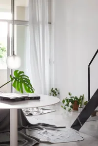 A modern interior scene featuring a concrete and glass plant display with a minimalist design and plants.