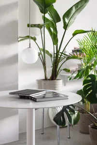 A modern interior space with white walls and furniture, adorned with green potted plants, creating a minimalist and refreshin