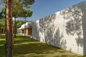 Modern house with concrete outdoor wall and trees.