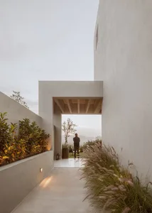 極簡外觀建築，展現混凝土與植栽的設計。