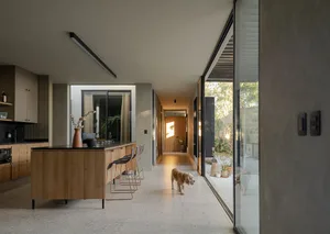 A modern residential interior with wooden and concrete surfaces, a kitchen island, and a dog walking in the hallway.