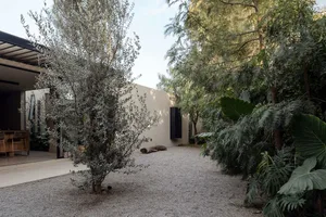 A modern landscape featuring a concrete path surrounded by greenery and trees.