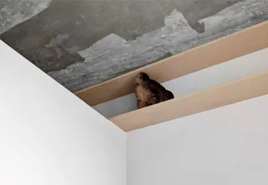 A white room with concrete walls and ceiling.