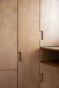 A minimalist cabinet with wood panels and simple handles.