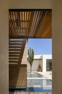Modern interior design featuring a wooden ceiling with a large window and a cactus plant.