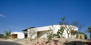 A white, modern minimalist house with glass elements and desert flora in the landscaping.
