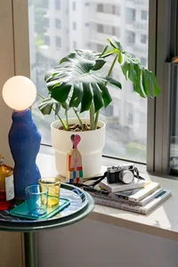 A modern indoor plant decoration featuring ceramic and glass materials.