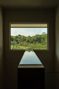 Minimalistic window overlooking lush greenery in a modern interior setting.