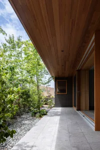 A modern entryway featuring wood paneling, concrete flooring, and trees within a garden setting.