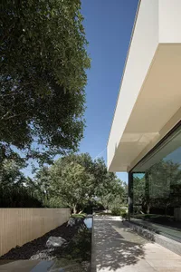 A modern house exterior featuring a concrete pathway bordered by greenery and a glass wall.