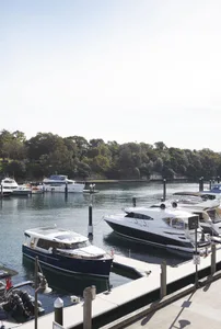Several marine yachts docked at a serene port area with a backdrop of lush greenery under a clear sky.