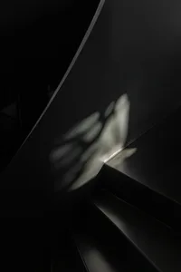 The shadow of a flying bird cast on a metallic staircase against a black background.