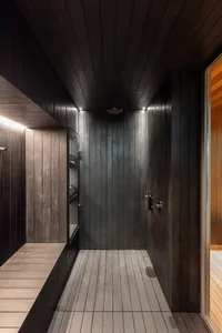Modern bathroom with dark wood panels, minimalistic design, and contemporary fixtures.