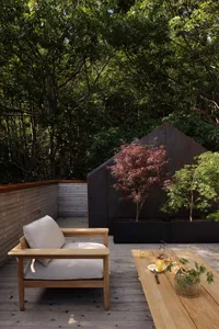 A minimalist outdoor living space featuring wooden furniture and greenery surrounded by trees.