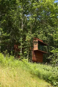 A modern house with a wooden facade nestled among trees.