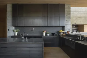 A modern kitchen with dark wooden cabinets, black countertops, and a concrete backsplash.