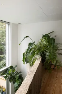 A modern living space featuring concrete and wooden elements with potted plants.