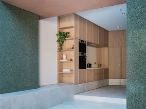 Modern kitchen interior with wooden cabinets and shelves, green plant, and white appliances.