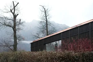 A modern residential building with black paneling and a copper roof.