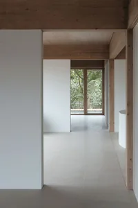 A cat sitting on a concrete step in a minimalist interior design setting, featuring a glass-fronted fireplace.