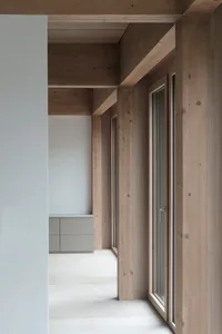 Modern minimalist interior with wooden walls and doors, featuring a minimalist cabinet in the background.