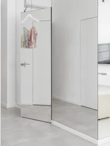 A minimalist wardrobe with mirrored glass doors.