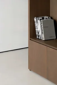 Modern, minimalist library shelves with wooden finish, containing books and magazines.