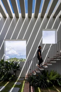 A man is walking up a modern, concrete staircase with large windows and greenery.