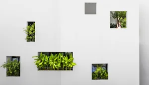 A white wall with multiple small window openings filled with lush green plants and one larger window overlooking a serene gar