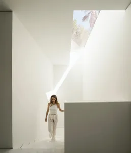 A minimalist white interior with a skylight and palm trees outside.