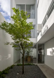 A minimalist entryway with concrete walls, large windows, and a tree in a gravel courtyard.