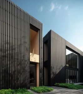 A modern residential house facade with vertical metal cladding.