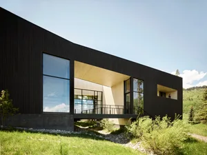 A modern residential exterior with blackwood siding and large windows.