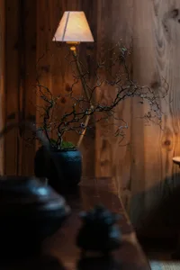 A decorative plant with dark, intertwined branches is placed in a black vase, accompanied by a warm-toned lamp with a brown l
