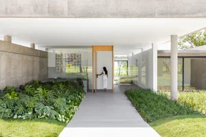 A minimalist residential entryway featuring a concrete pathway bordered by greenery, leading to a glass door.