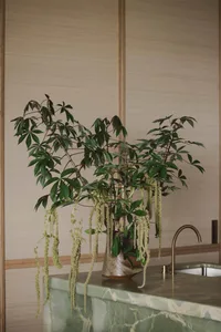 A modern kitchen interior featuring green marble countertops and a potted plant with green leaves and hanging flowers.