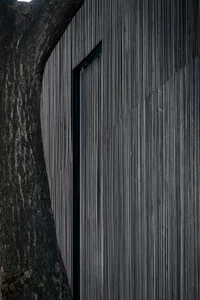 Modern house with wooden exterior
