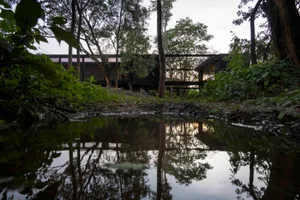 Modern house reflected in a serene body of water surrounded by lush greenery and trees.