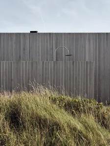 A modern exterior wall featuring dark grey wooden panels with an arch-shaped opening and a metallic structure.